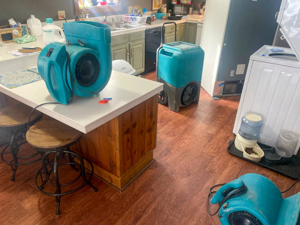 Best Mold removal after water damage  in Penn Yan, NY