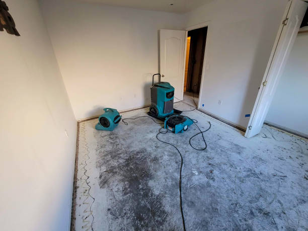 Best Residential water damage restoration  in Penn Yan, NY