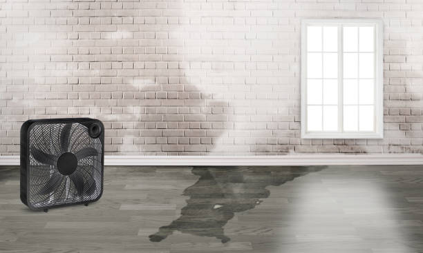 Best Water damage repair service  in Penn Yan, NY