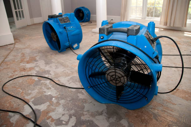 Best Local water damage restoration  in Penn Yan, NY