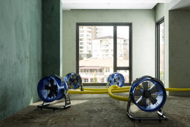 Best Mold removal after water damage  in Penn Yan, NY