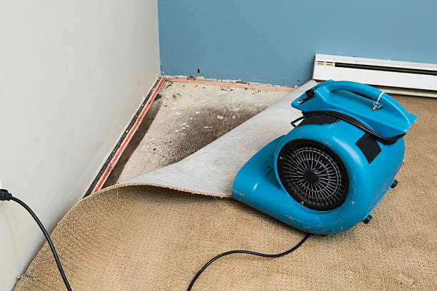 Best Water damage restoration near me  in Penn Yan, NY